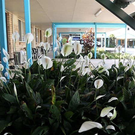 Kilcoy Gardens Motel Εξωτερικό φωτογραφία