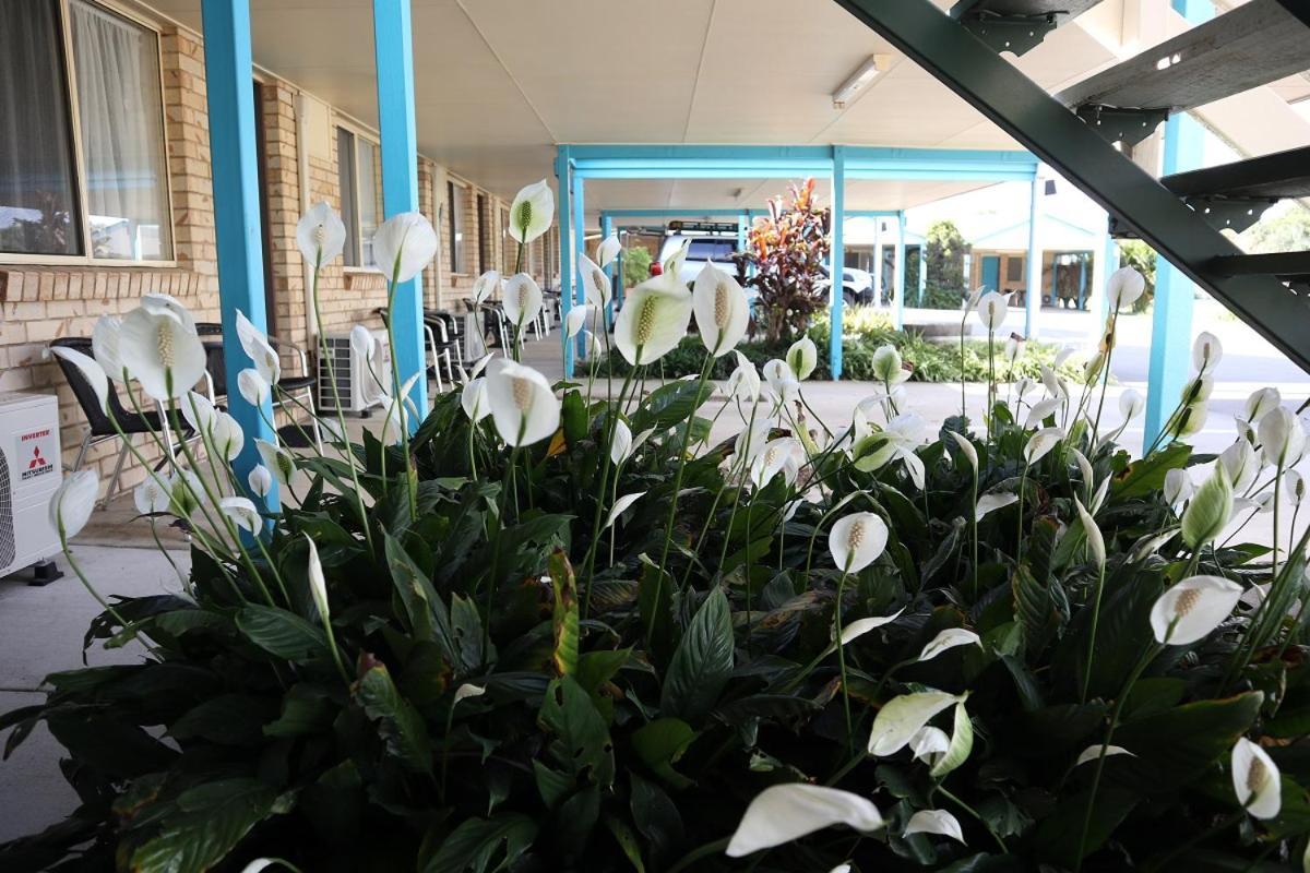 Kilcoy Gardens Motel Εξωτερικό φωτογραφία